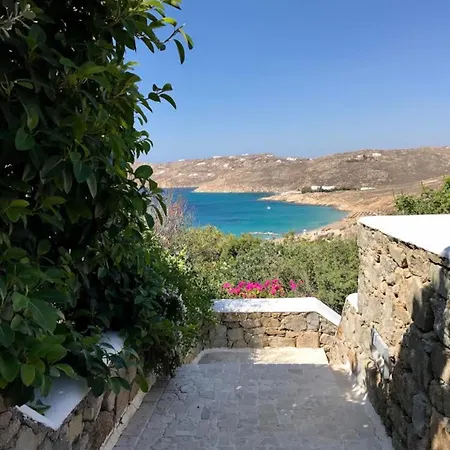 Calma House Ελιά